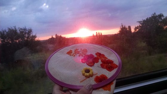 Этап процесса «Нагідки і Настурціїї Ріоліс»