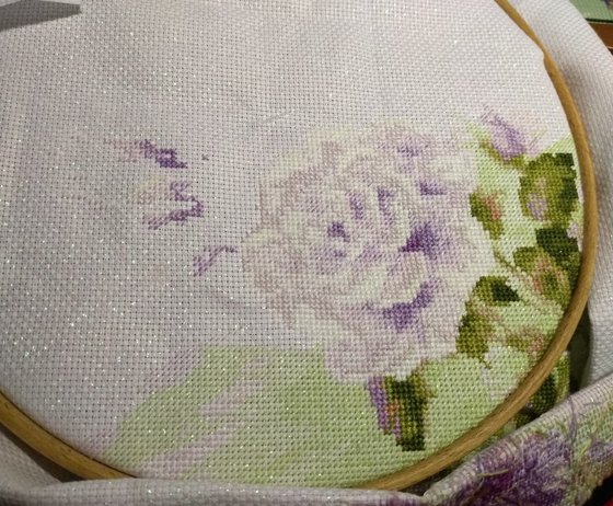 Этап процесса «"Сладкий инжир" от Риолис»