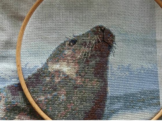 Этап процесса «Тюлень № 3»