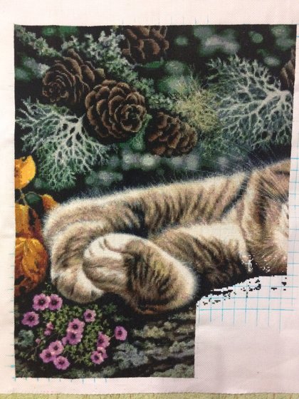 Этап процесса «ДИКИЙ УГОЛОК»