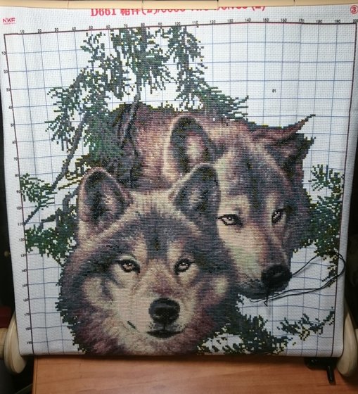 Этап процесса «Волки»