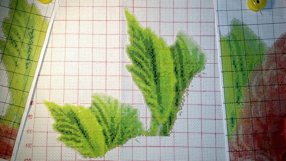 Этап процесса «Малина»