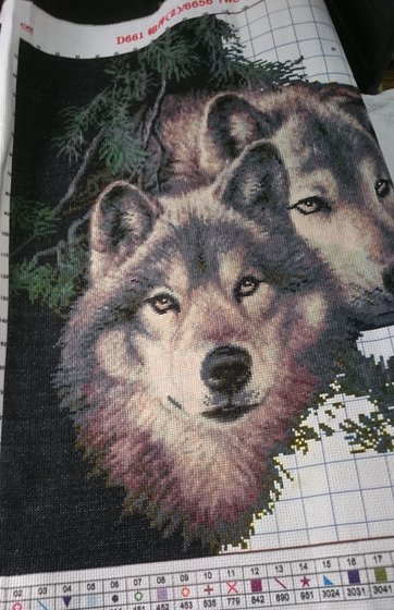 Этап процесса «Волки»