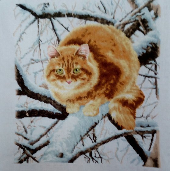 Этап процесса «Рыжий кот»