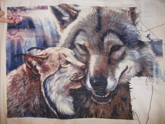 Этап процесса «волк и рысь»