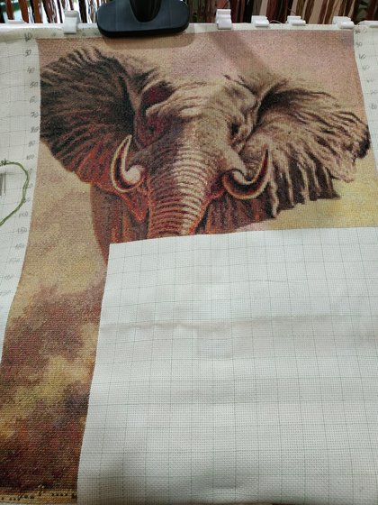 Этап процесса «Африканский слон»