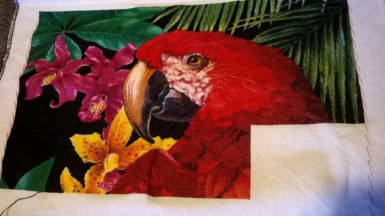 Этап процесса «Попугай Ара»