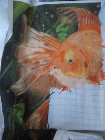 Этап процесса «Золотая рыбка»