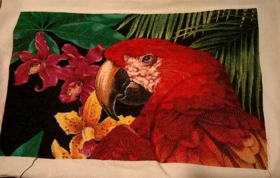 Этап процесса «Попугай Ара»