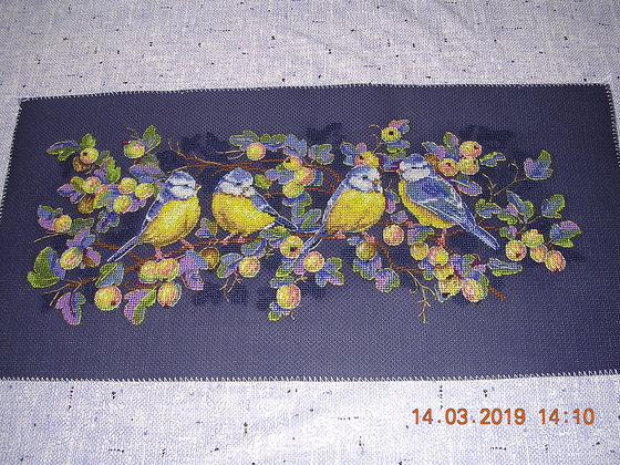 Этап процесса «СИНИЧКИ»