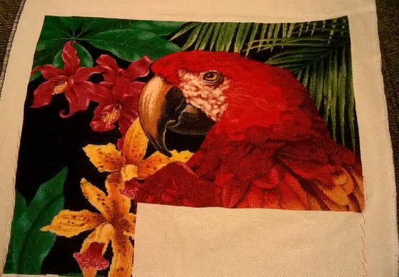 Этап процесса «Попугай Ара»