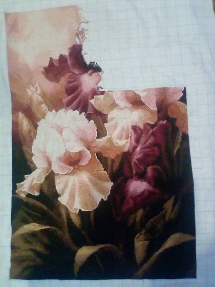 Этап процесса «Ирисы»