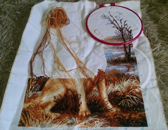 Этап процесса «"Лабрадор" Ріоліс»