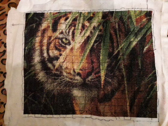 Этап процесса «Ожидающий тигр.»