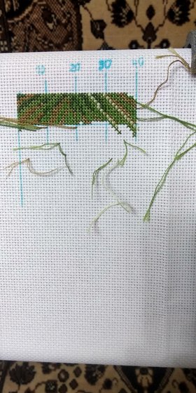 Этап процесса «Попугаи»