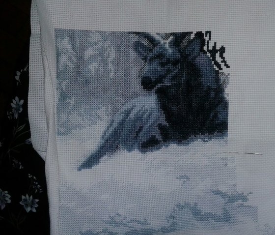 Этап процесса «Олени, Чаривна Мить-453»