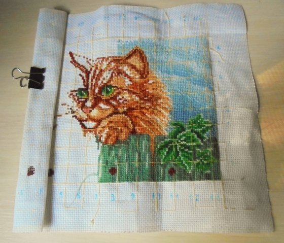 Этап процесса «Рыжий кот»