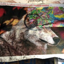 Процесс «Волчонок»