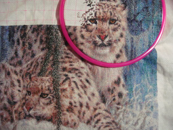 Этап процесса «Снежные барсы»