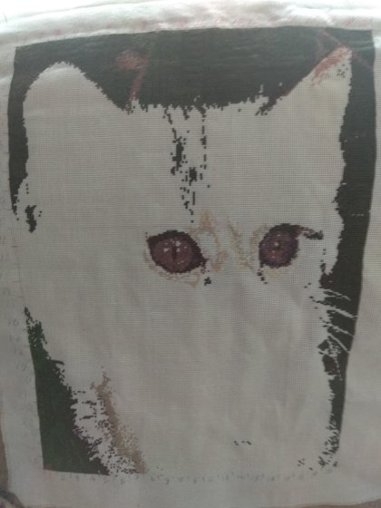 Этап процесса «Кот»