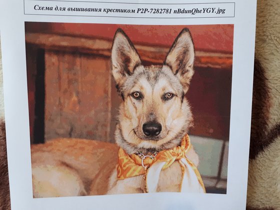 Этап процесса «Вышивка!»