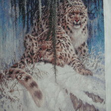 Процесс «Снежные барсы»