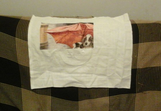 Этап процесса «Вышивка крестом НЛ-024 Под дождем»