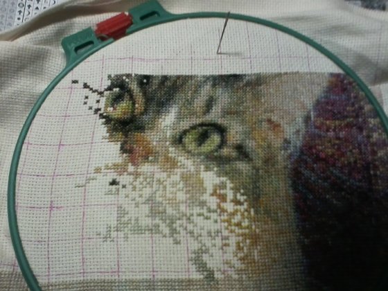 Этап процесса «Аметист и Пёстрый»