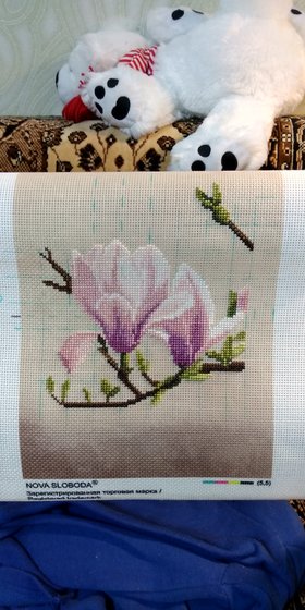 Этап процесса «Магнолия Суланжа»