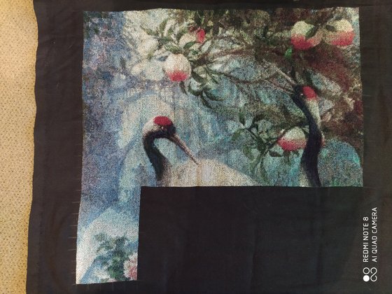 Этап процесса «obraz»