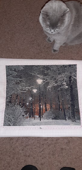 Этап процесса «Ночная аллея»