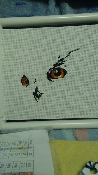 Этап процесса «Сова»