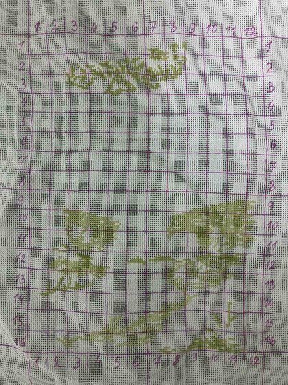 Этап процесса «Зайчик сынишке в комнату»