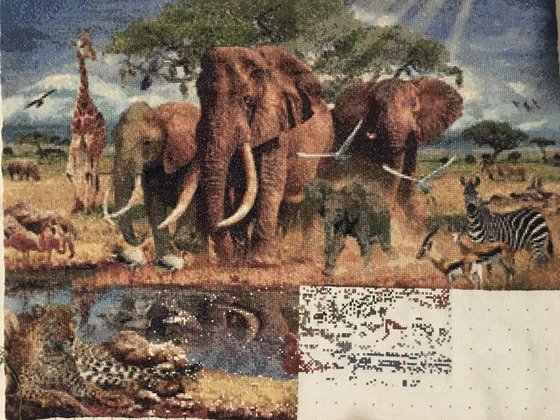 Этап процесса «Африка»