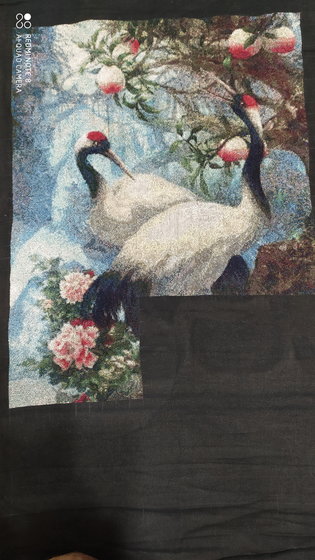 Этап процесса «obraz»