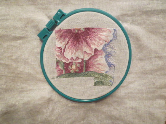 Этап процесса «мой новый интриг процесс»