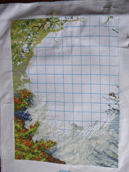 Этап процесса «Карпы.»