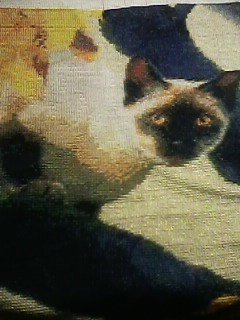 Этап процесса «Полуночный охотник»