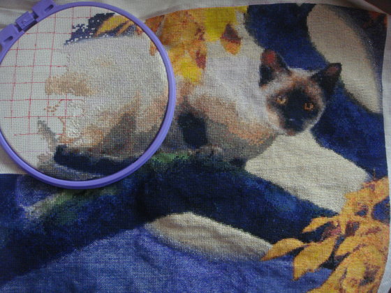 Этап процесса «Полуночный охотник»