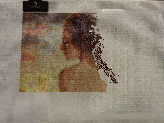 Этап процесса «Девушка в белом»