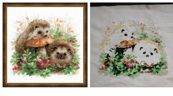 Этап процесса «Ежики в бруснике.»