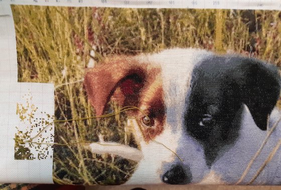 Этап процесса «Лорд»