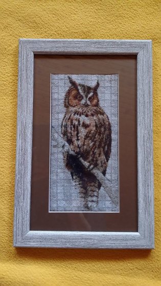 Этап процесса «Bagoly»