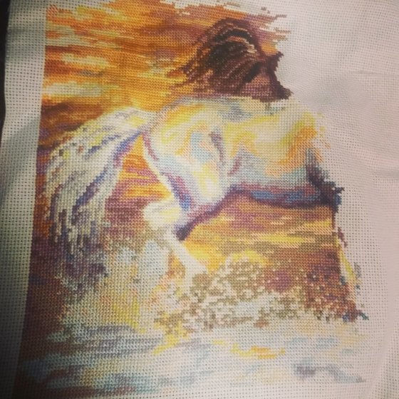 Этап процесса «В лучах заката от РИОЛИС»