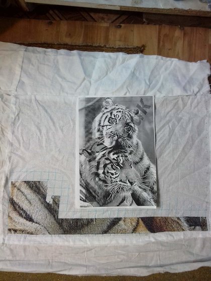 Этап процесса «тигриная нежность»