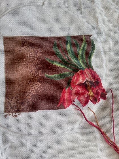 Этап процесса «Натюрморт с птицей»