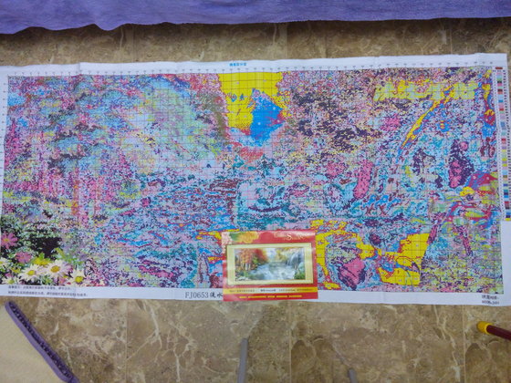 Этап процесса «Китайская вышивка "Природа"»