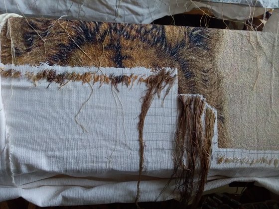 Этап процесса «Лев 560 ×502 155 гамма»