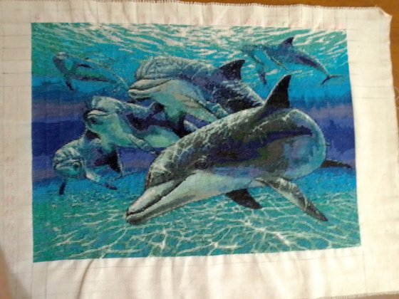 Этап процесса «Стая дельфинов»