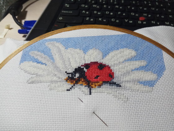 Этап процесса «Ромашки»